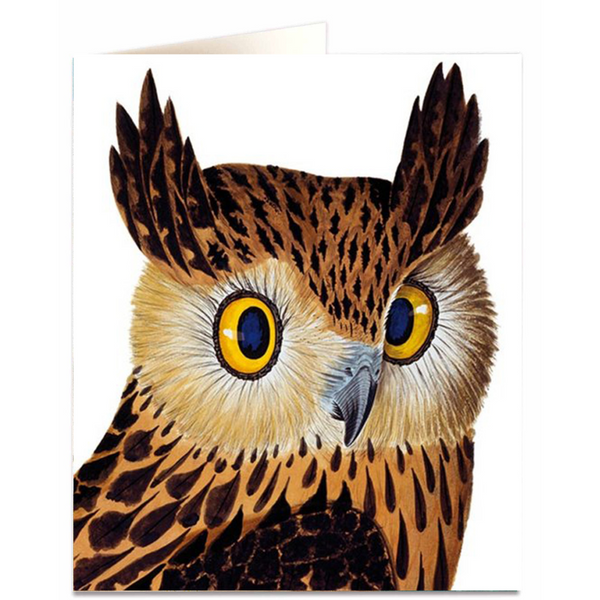 NHM - Tawny Fish Owl