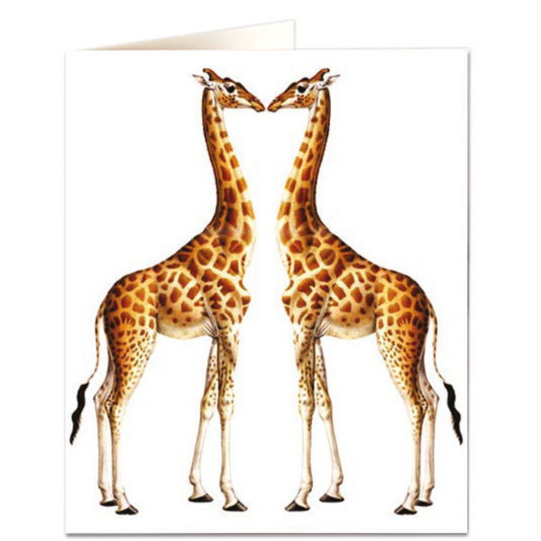 NHM - Giraffes