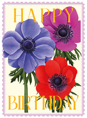 colourburst-anemones