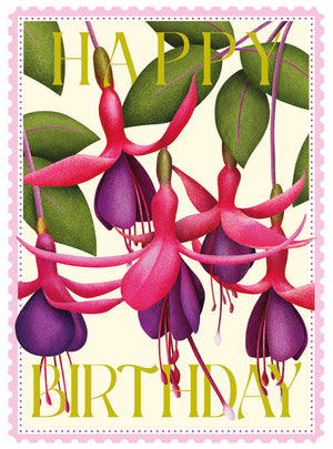 colourburst-colourburst-fuchsia-card