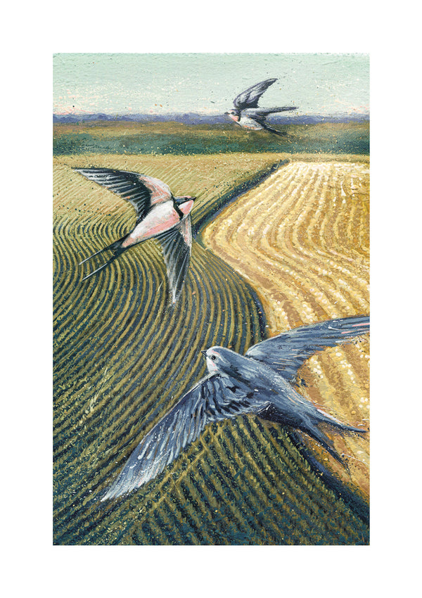 open-skies-swallows-over-farmland