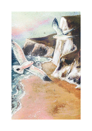 open-skies-gulls-cliffs-sea