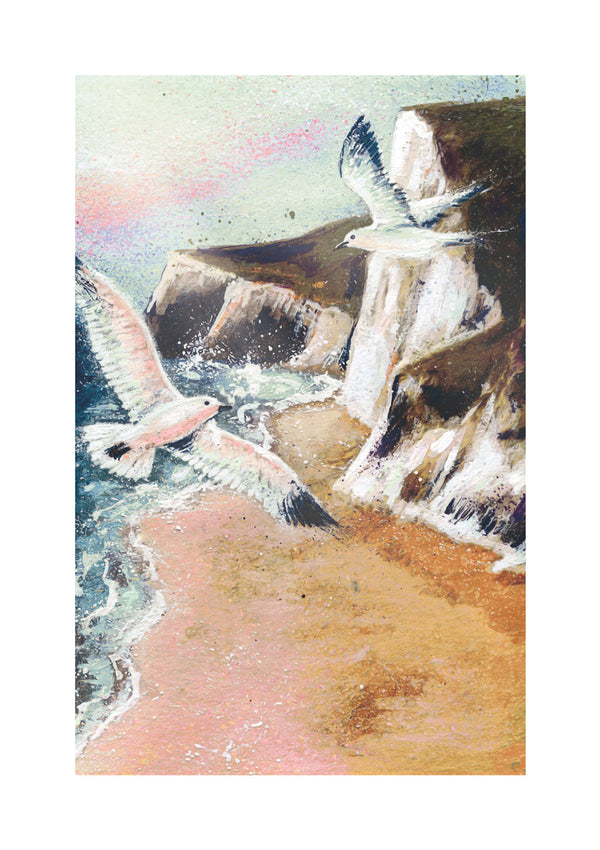 open-skies-gulls-cliffs-sea
