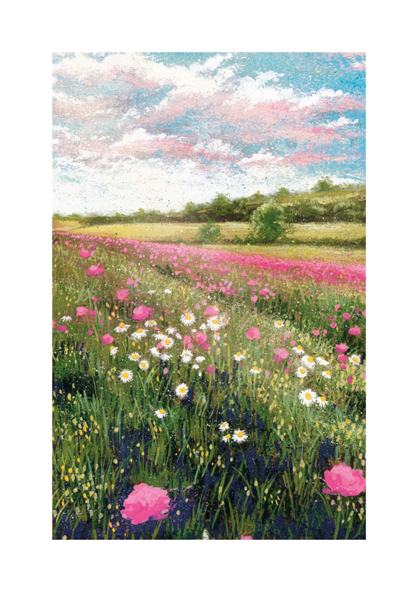 open-skies-daisies-in-meadow