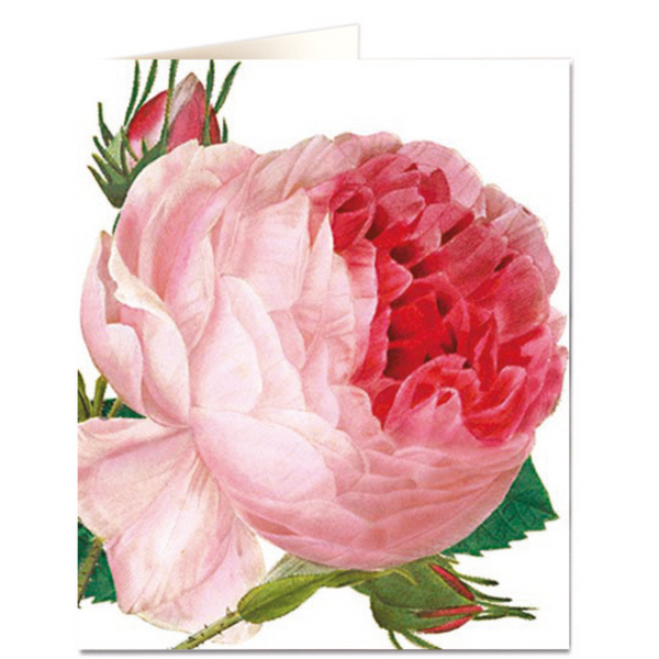 NHM - Pink Rose