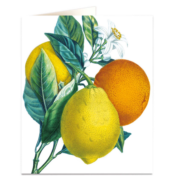 NHM - Oranges & Lemons