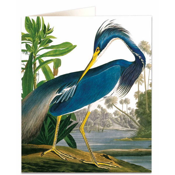 NHM - Heron