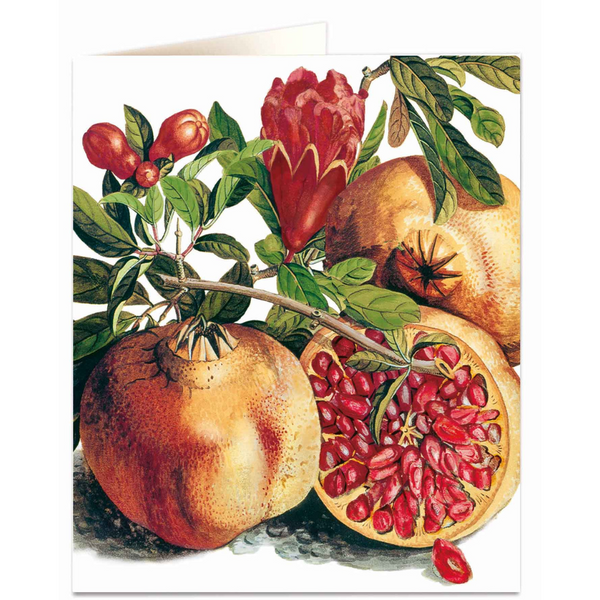 NHM - Pomegranate