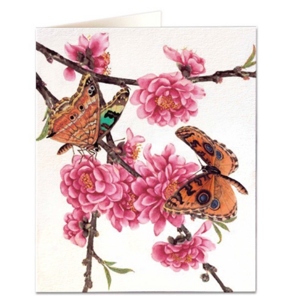 NHM - Blossom and butterflies