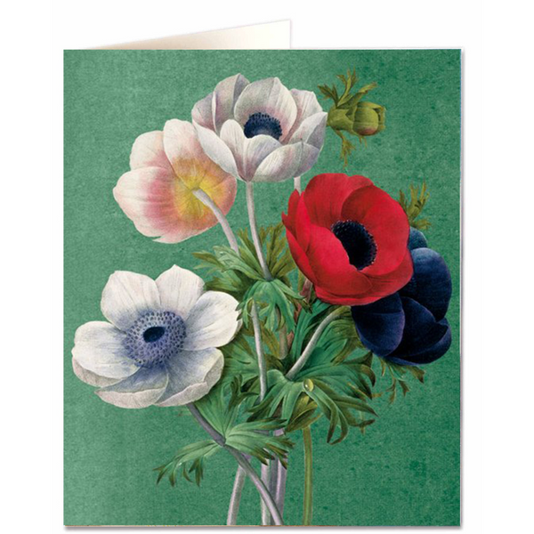 NHM - Anenome