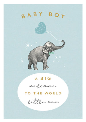 new-rock-on-baby-boy-elephant