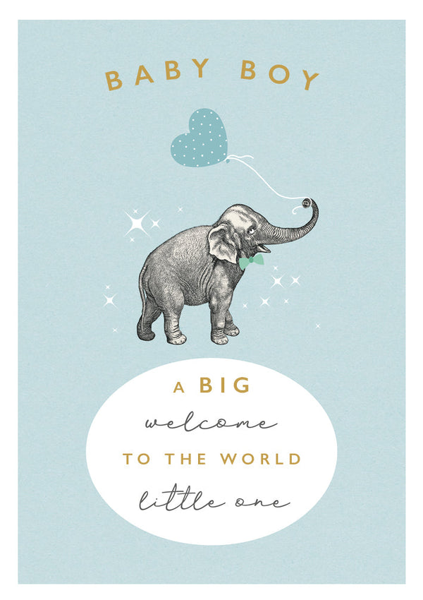 new-rock-on-baby-boy-elephant