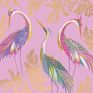 sara-miller-three-cranes-on-pink