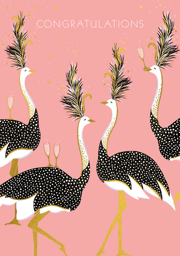 sara-miller-congratulations-ostriches
