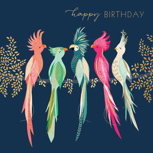 sara-miller-cockatoos