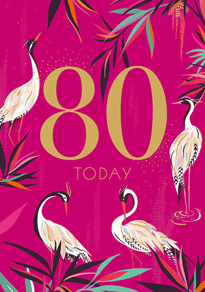 sara-miller-age-80th