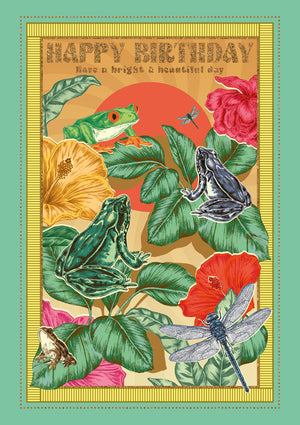 soleil-time-to-party-frogs