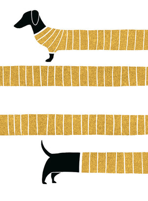 tiny-but-mighty-dachshund