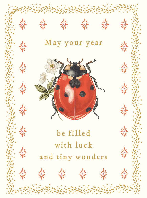 TALE & IVY -LADYBIRD