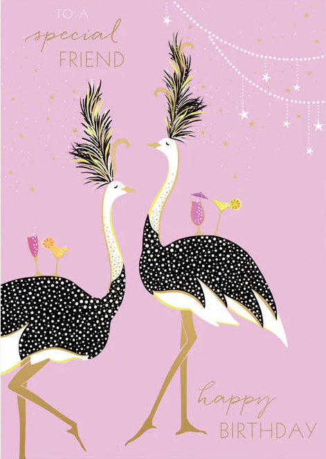 SARA MILLER -DANCING OSTRICHES SPECIAL FRIEND